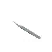 Penseta Antonella AS-03