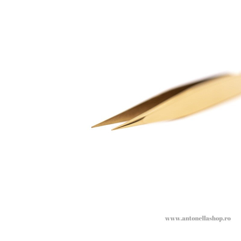 Penseta Antonella Gold AS-39